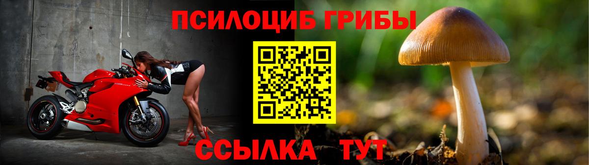 Псилоцибиновые грибы Cubensis  Вход с VPN  цена   Егорьевск 
